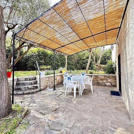 Apartamento Jardin & Terrasse Ombragee - T2 Cozy Et Paisible La Garde  Exterior foto