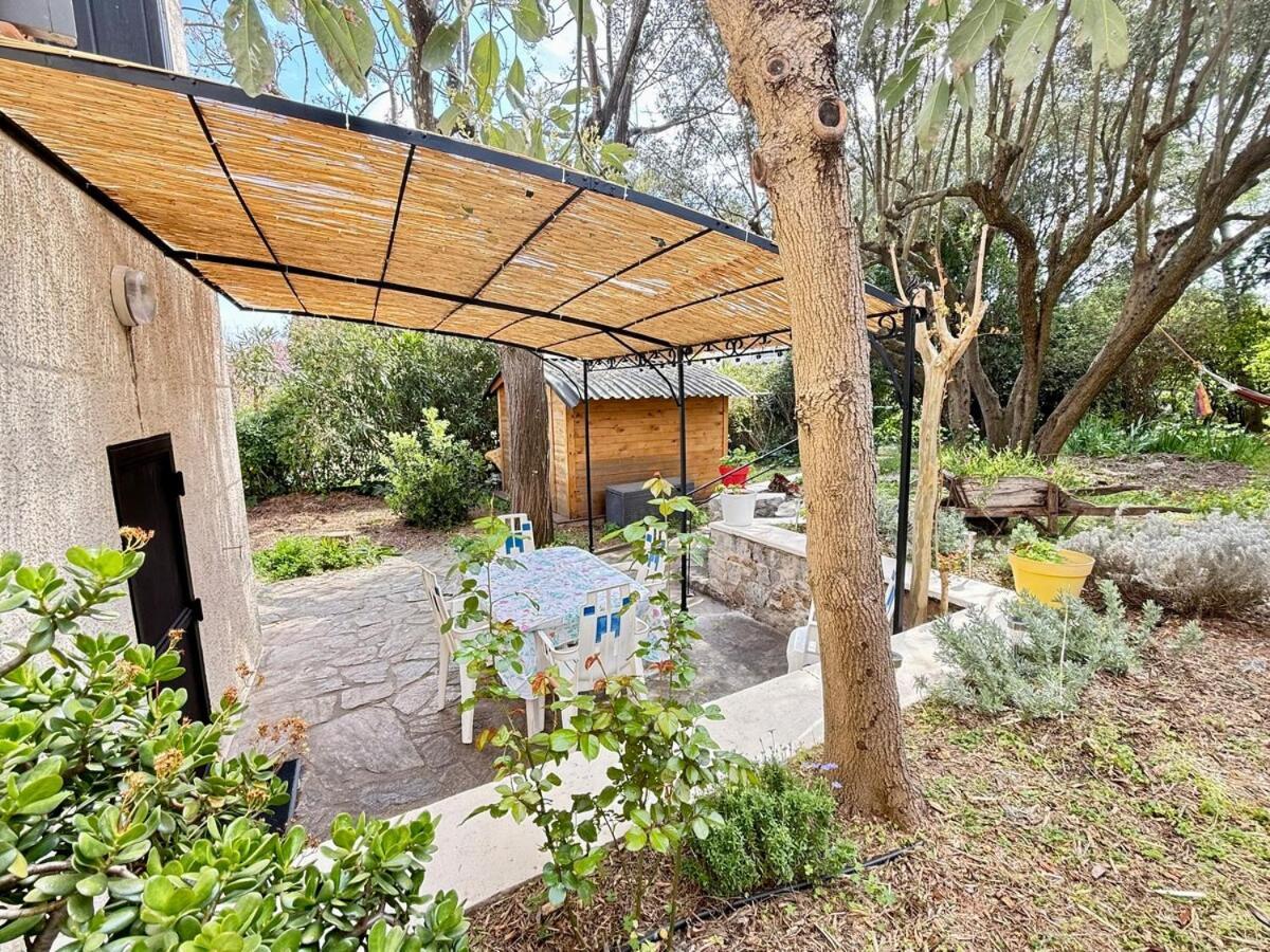 Apartamento Jardin & Terrasse Ombragee - T2 Cozy Et Paisible La Garde  Exterior foto